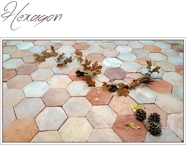 Hexagon Reclaimed Tiles