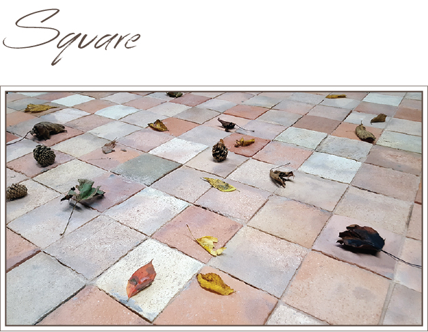 Square Reclaimed Tiles